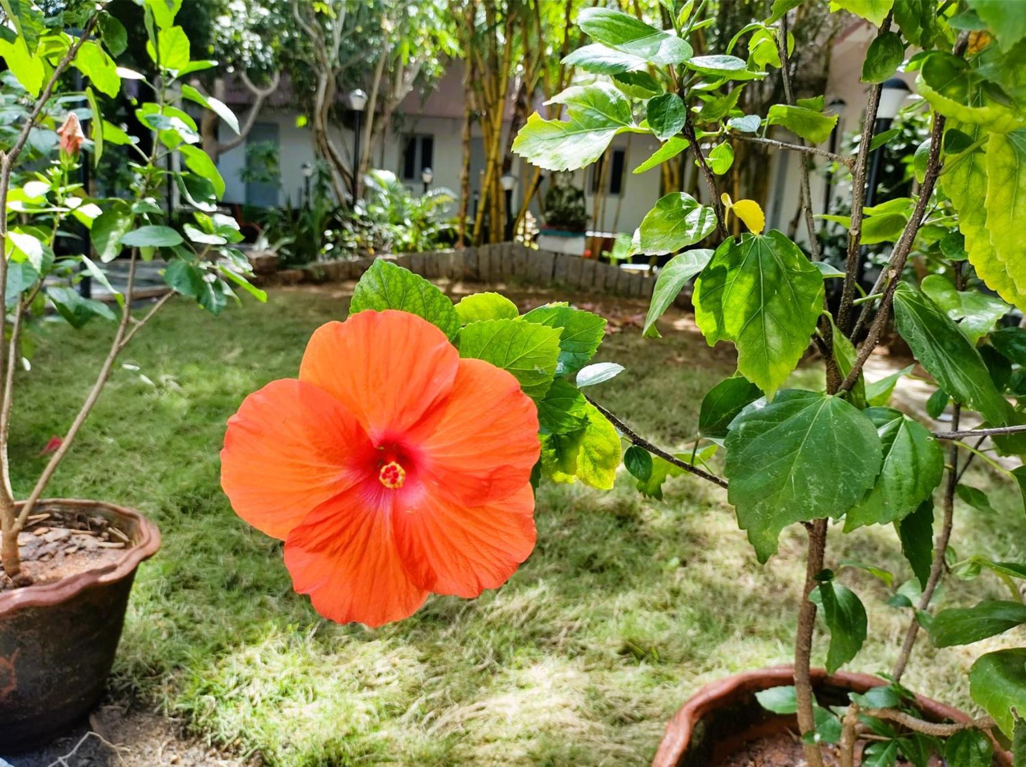 The Well Beach Side Guest House 黎明之村 外观 照片