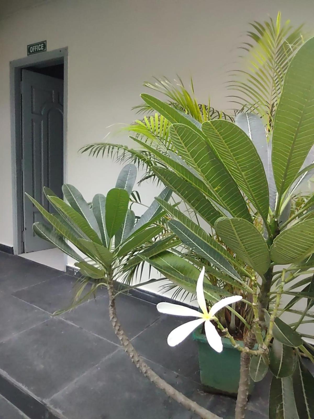 The Well Beach Side Guest House 黎明之村 外观 照片