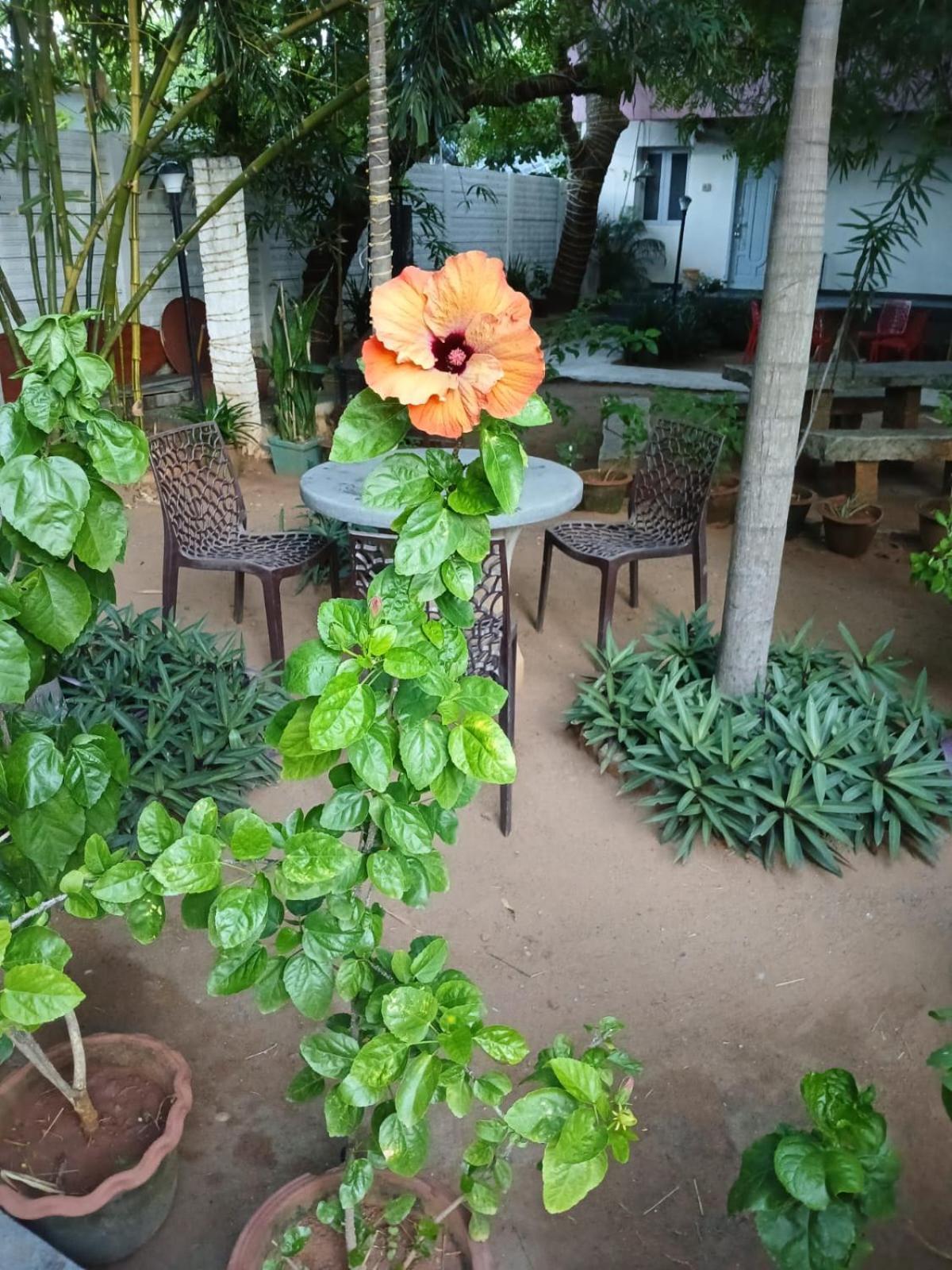 The Well Beach Side Guest House 黎明之村 外观 照片